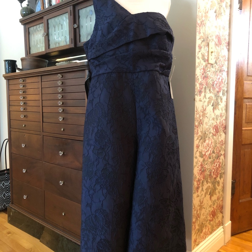 Kay Unger Formal One Shoulder Navy Jumpsuit